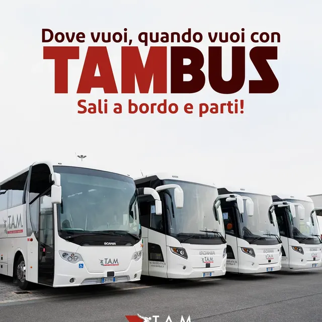 Lavoro di ri.creativo per Tambus, Trasporto passeggeri · Roma